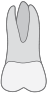 03 tooth icon
