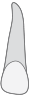 07 tooth icon