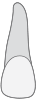 08 tooth icon