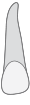 10 tooth icon