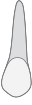 11 tooth icon