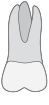 14 tooth icon