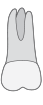 15 tooth icon