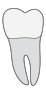 17 tooth icon