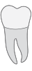18 tooth icon