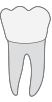 30 tooth icon