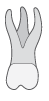 a tooth icon