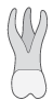 j tooth icon