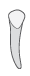 o tooth icon